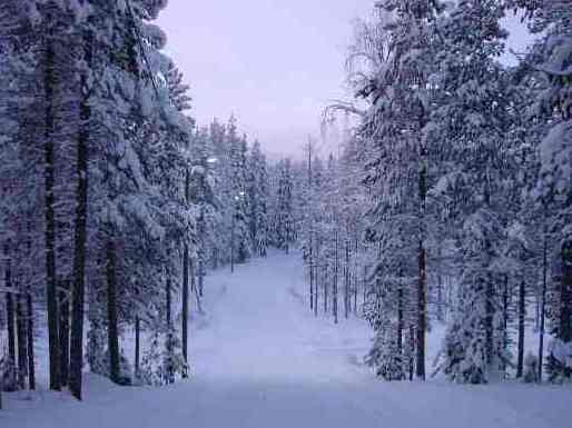 Финляндия. Беговая лыжная трасса­